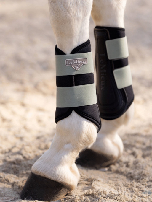 Guêtres Grafter Brushing Boots LeMieux