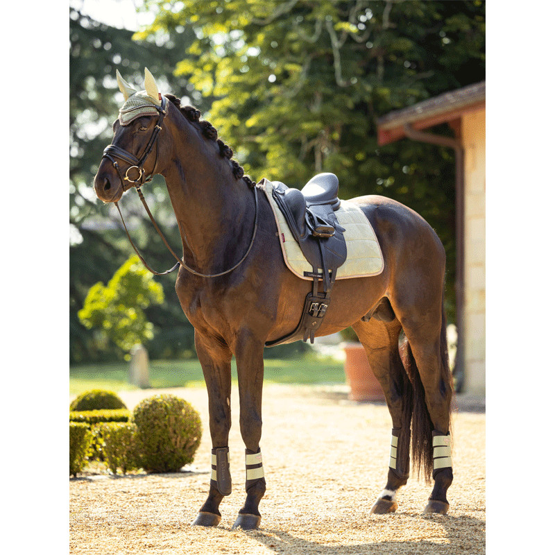 Guêtres Grafter Brushing Boots LeMieux