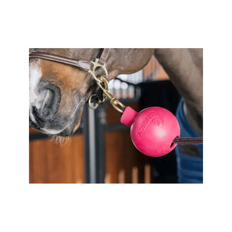 Balle de protection d'attache Kentucky