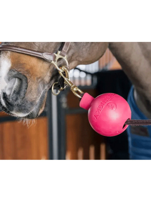 Balle de protection d'attache Kentucky