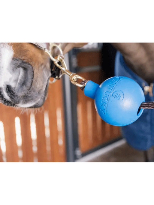 Balle de protection d'attache Kentucky