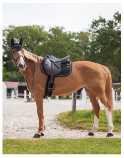 Horses Tapis de Selle Western Silver Pro-Pad Basic Protège Le Cheval (Bleu Royal Horses Tapis de Selle Western Silver Pro-Pad Basic Protège Le Cheval (Bleu Royal