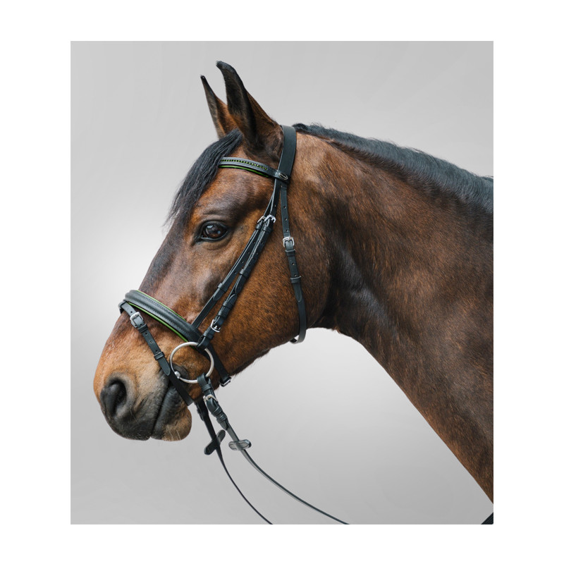 Bridon Star Diamond Waldhausen