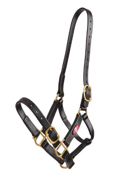 Licol synthétique PN Zilco