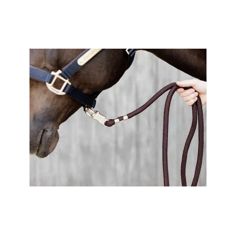 Longe anti-panique 2m Kentucky