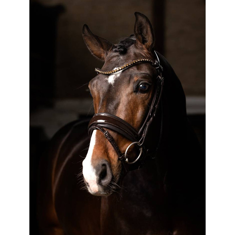 Bridon dressage Kudos Patent LeMieux