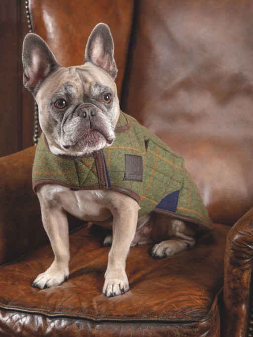 Couverture en tweed Digby & Fox