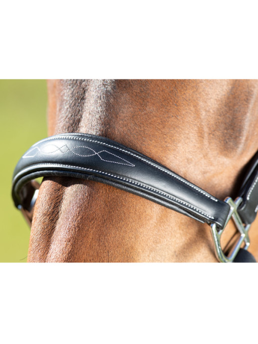 Licol grooming halter HFI Licol grooming halter HFI