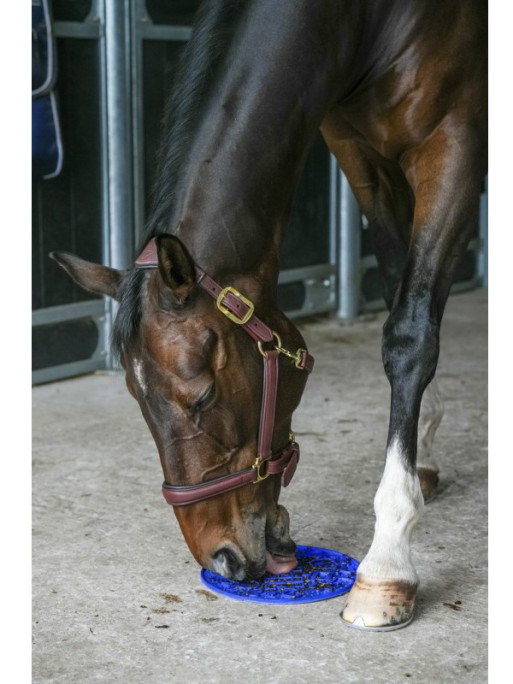 Tapis de léchage Graze Maze Likit