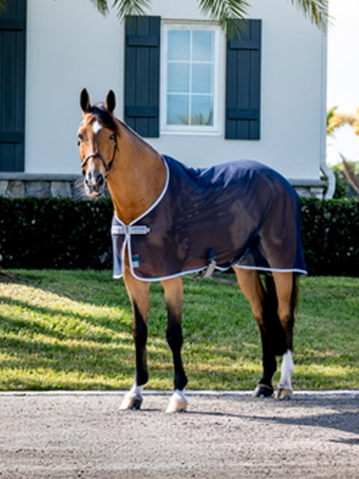 Couverture nid d'abeilles Amigo Net Cooler rem X Sur Horseware Couverture nid d'abeilles Amigo Net Cooler rem X Sur Horseware