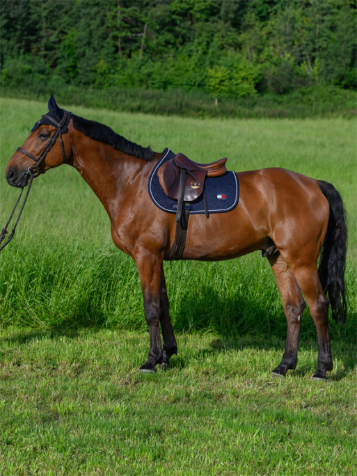 Tapis de selle Harvard CSO SS25 Tommy Hilfiger Equestrian Tapis de selle Harvard CSO SS25 Tommy Hilfiger Equestrian