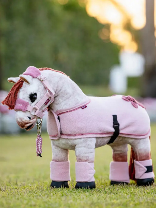 Couverture Toy Pony Lemieux