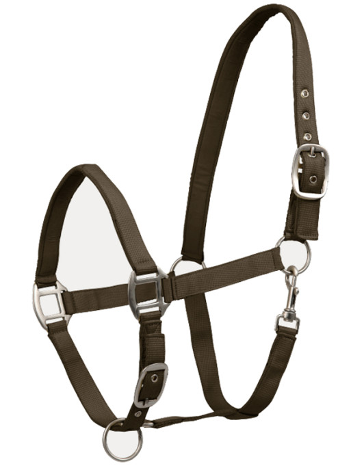 Licol Satin Waldhausen