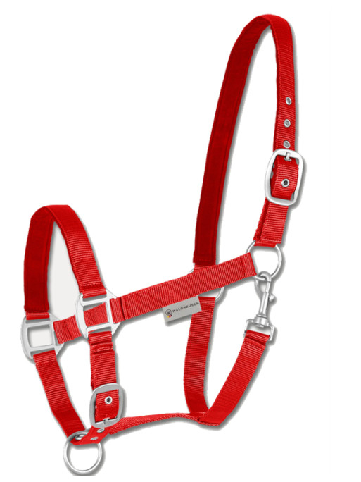 Licol Satin Waldhausen