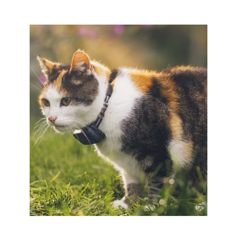 Traceur GPS connecté Cat Mini Tractive