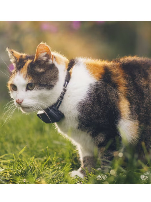 Traceur GPS connecté Cat Mini Tractive Traceur GPS connecté Cat Mini Tractive