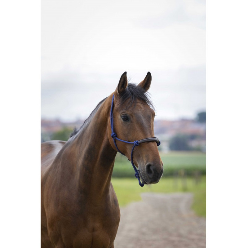 Licol éthologique Corde/Synthétique Norton