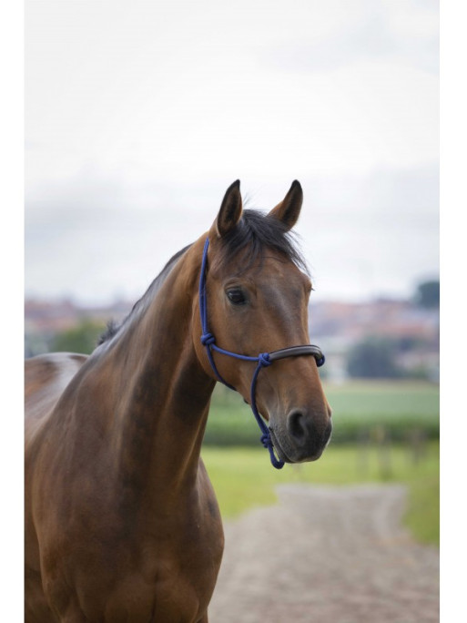 Licol éthologique Corde/Synthétique Norton