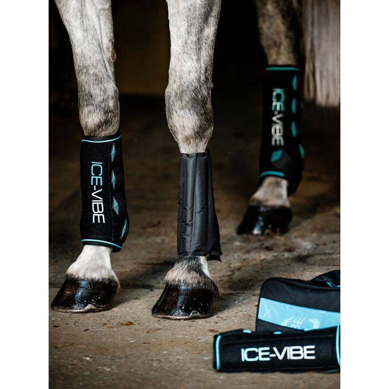 Guêtres Ice-Vibe New Horseware