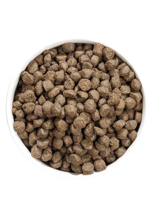 Croquettes Grain Free Prime Oily Fish 12kg Ownat