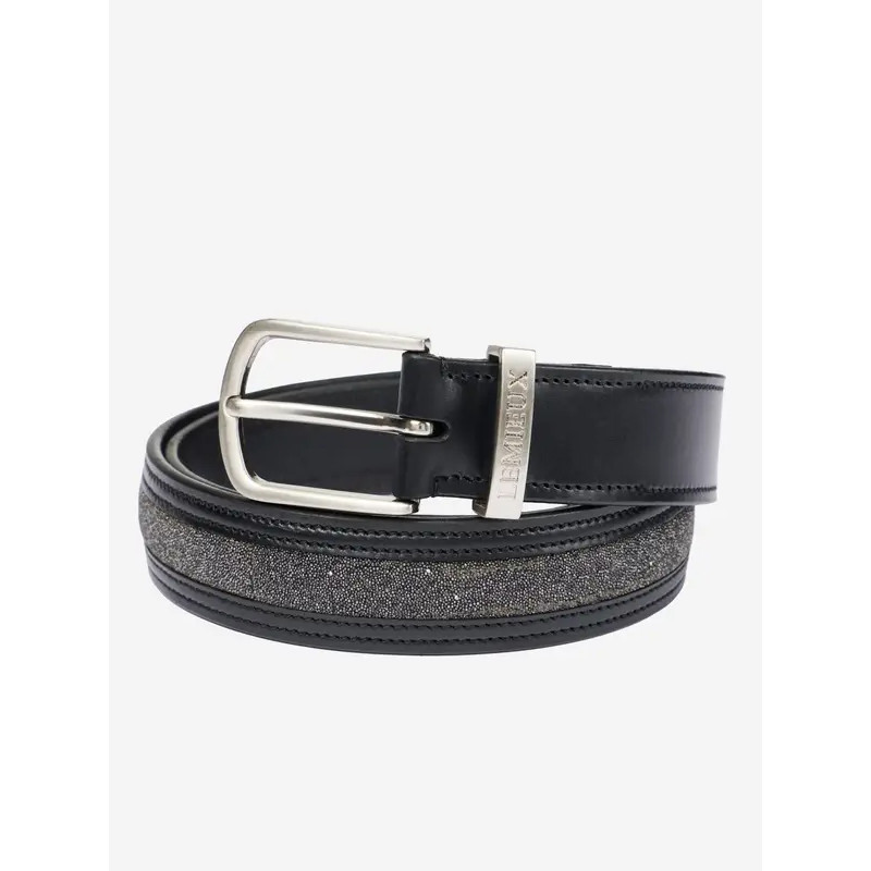 Ceinture Crystal Insert LeMieux