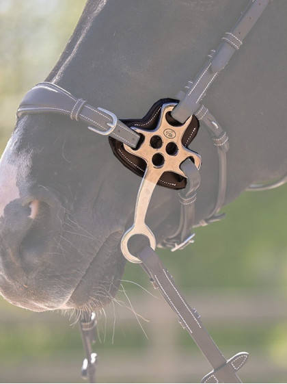 Protection pour Hackamore Jump'In