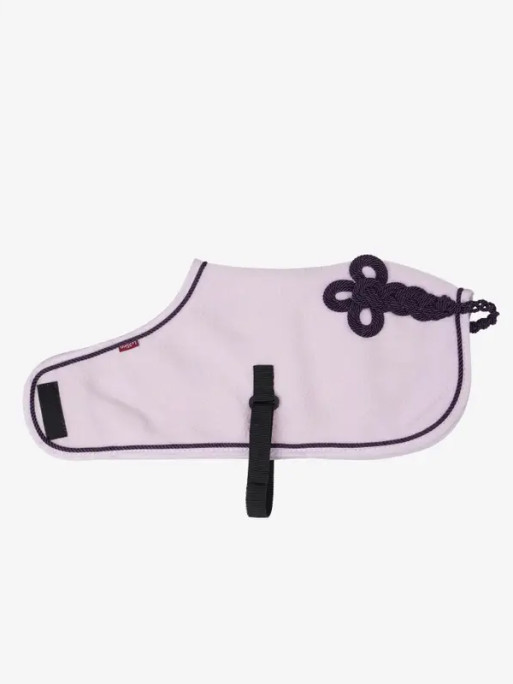 Couverture Toy Pony Lemieux