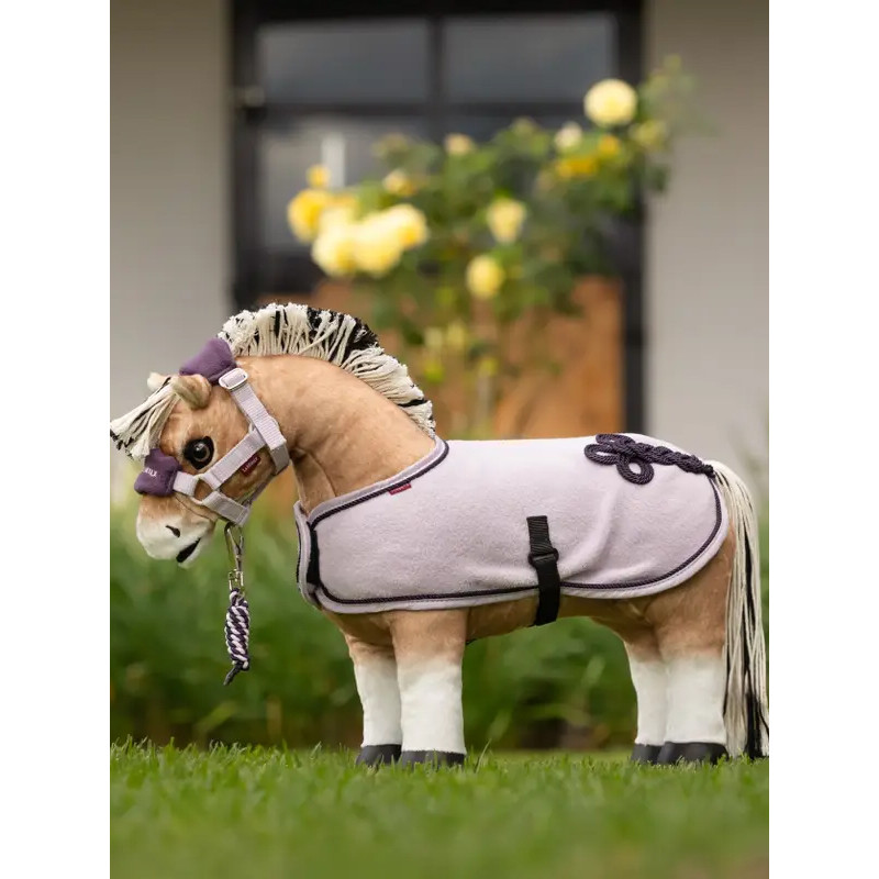 Couverture Toy Pony Lemieux