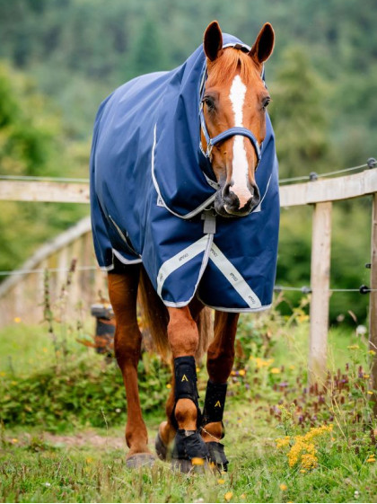 Couverture d'extérieur Amigo Bravo 12 Plus 100g Horseware