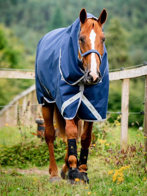 Couverture d'extérieur Amigo Bravo 12 Plus 100g Horseware Couverture d'extérieur Amigo Bravo 12 Plus 100g Horseware