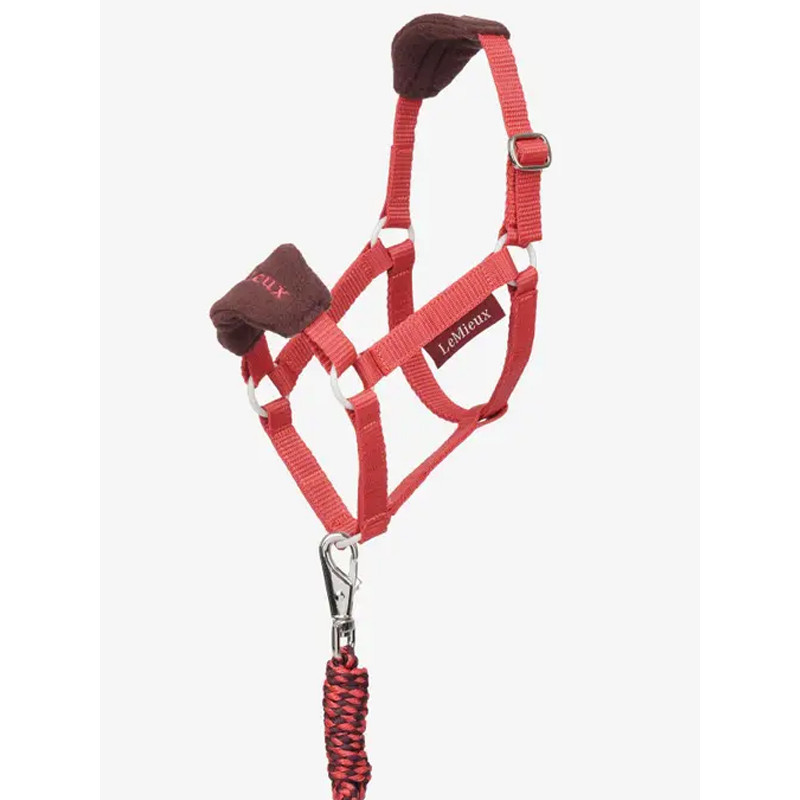 Licol et longe Vogue Hobby Horse LeMieux