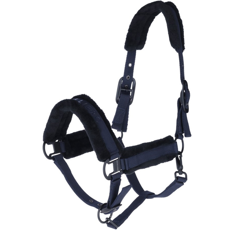 Licol FW25 Covalliero 