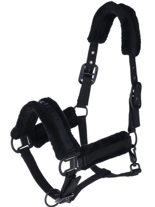 Licol FW25 Covalliero 