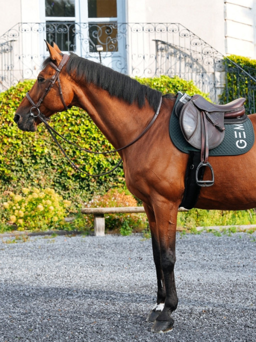 Tapis Ten obstacle GEM