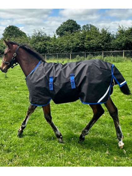 Couverture d'éxterieur poulain Amigo Ripstop 200g 900D Horseware