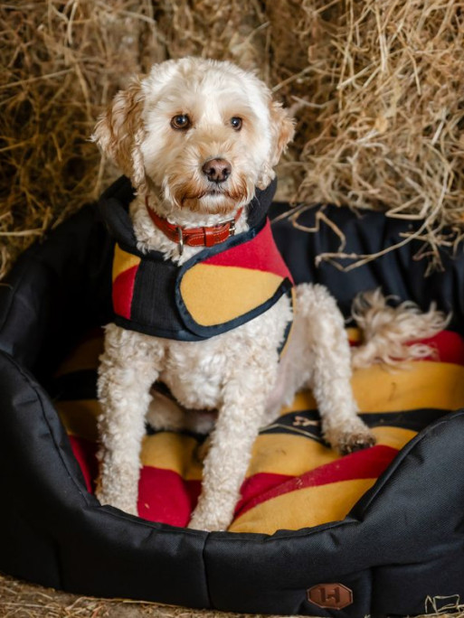 Panier pour chien Newmarket Horseware