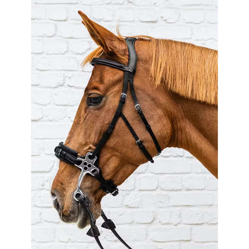 Hackamore New English Collection Dy'on