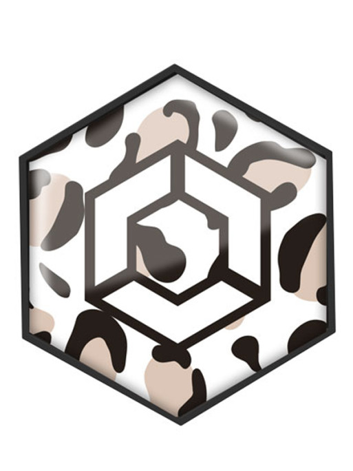 Stickers Aimantés pour casque Armet Trex-On Collection Les Spéciaux 2025 Flex-on