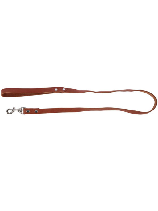 Laisse Toscane 120cm Kerbl