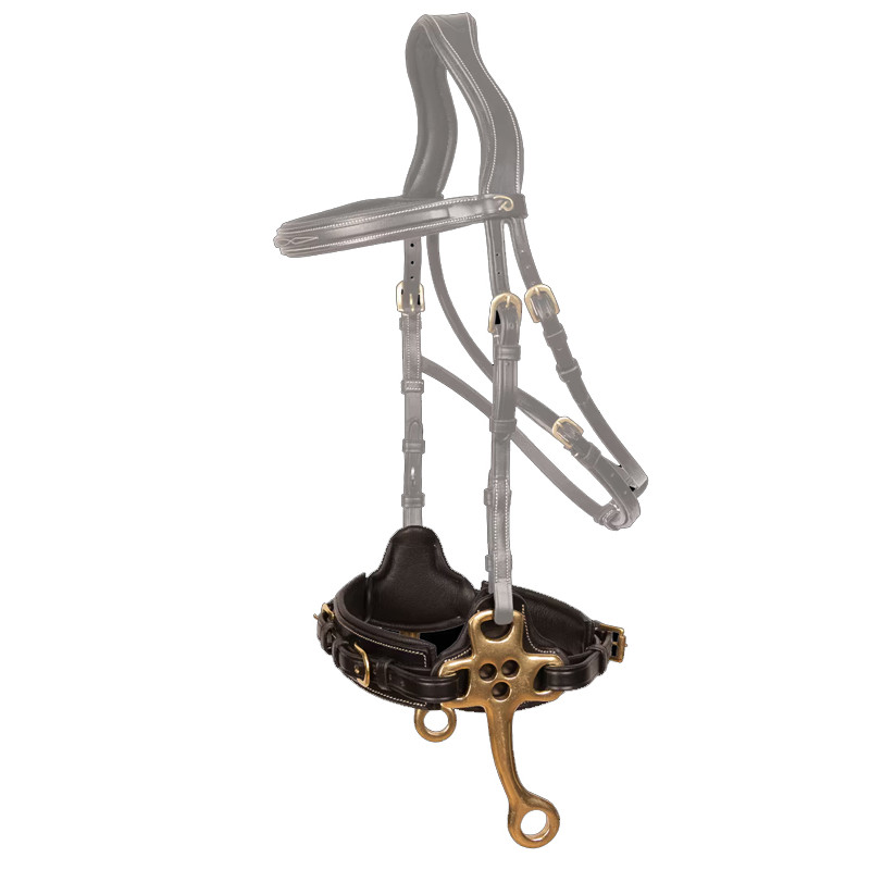 Hackamore D Collection Dy'on