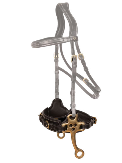 Hackamore D Collection Dy'on