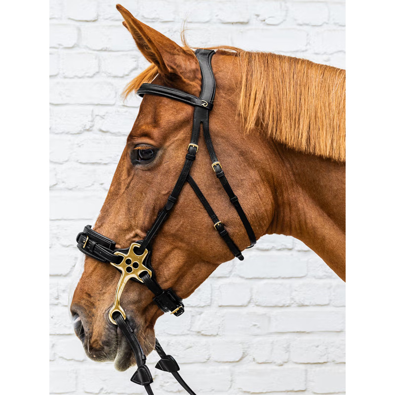 Hackamore D Collection Dy'on