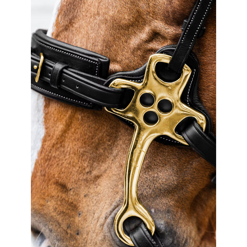 Hackamore D Collection Dy'on