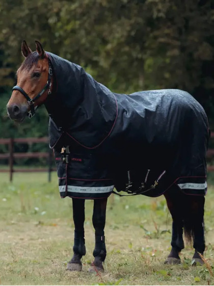 Couverture d'extérieur Arika Storm-Tek 350g LeMieux
