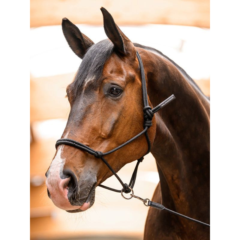 Licol à noeuds avec anneau mobile Waldhausen