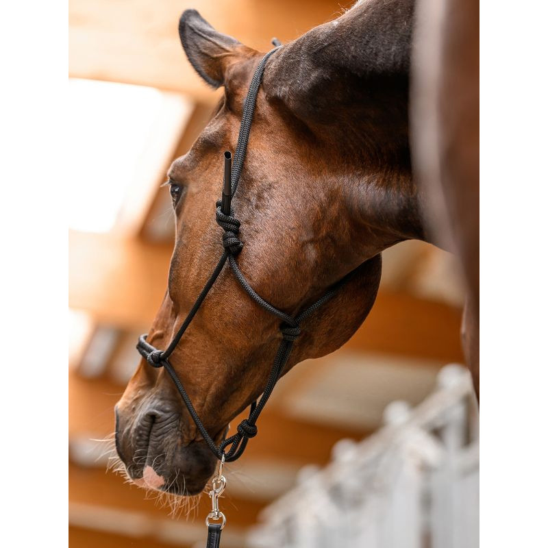 Licol à noeuds avec anneau mobile Waldhausen