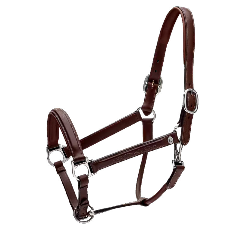 Licol en cuir Fancy Working by Dy'on