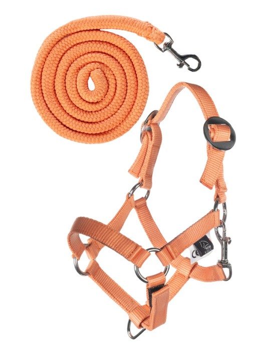 Licol et longe Hobby Horse Basic HKM