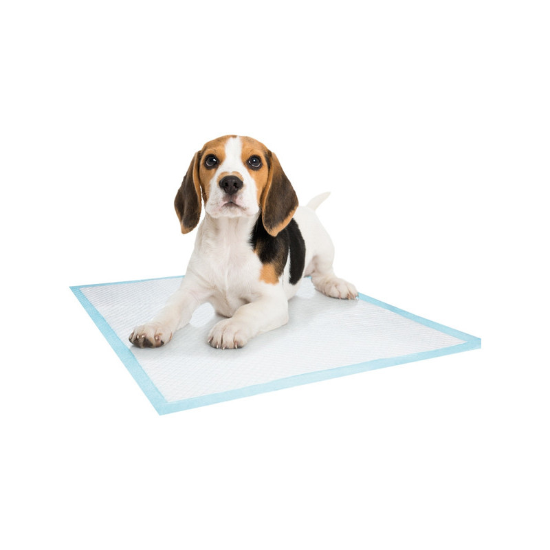 Tapis éducateurs pour chien x10 Nobby