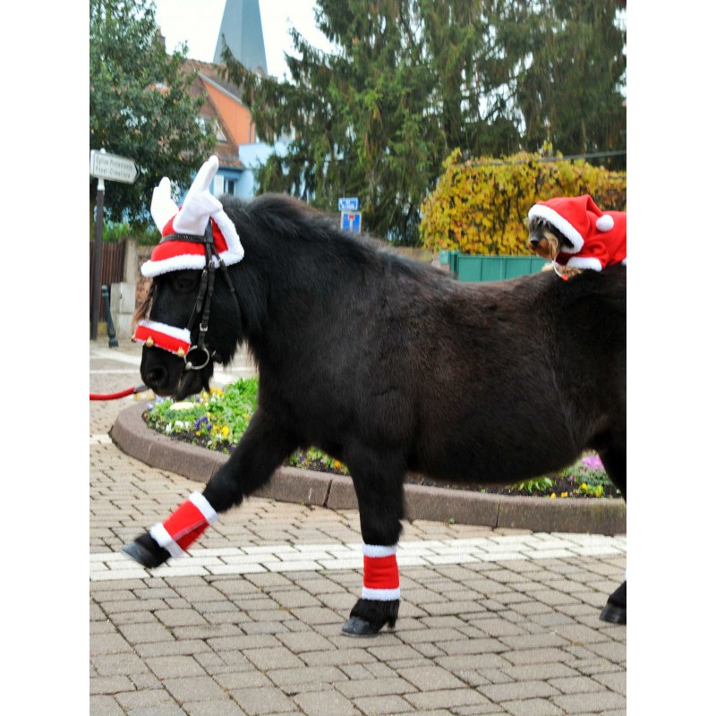 Bonnet de Noël Equi-Thème